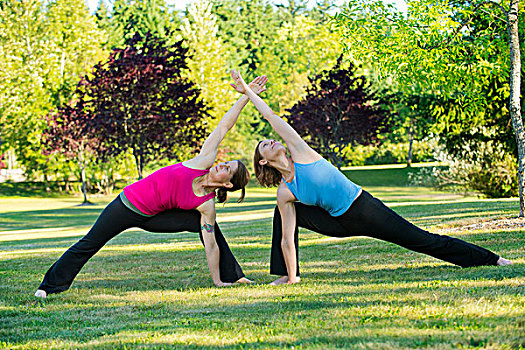 两个,女人,实践,瑜珈,一起,公园