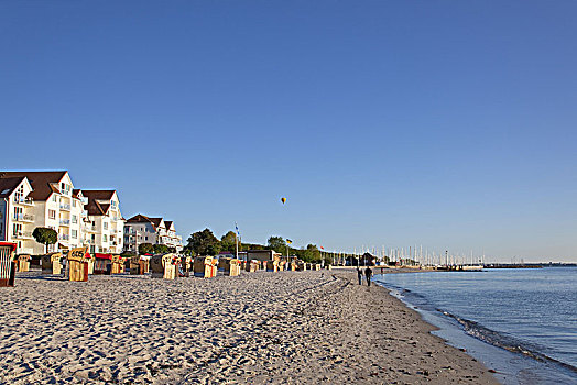 海滩,波罗的海,水疗,石勒苏益格,黑白花牛,德国北部,德国