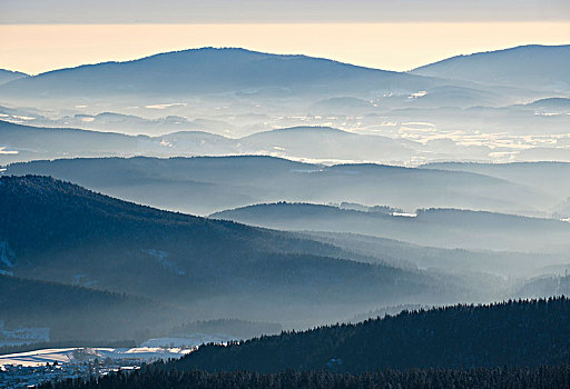 雾,山谷,风景,雪中,自然保护区,巴伐利亚森林,下巴伐利亚,巴伐利亚,德国,欧洲