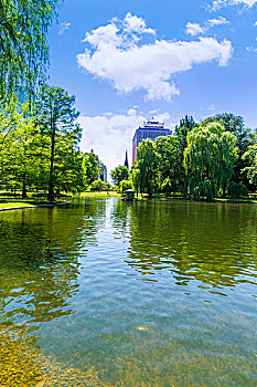 波士顿公园,湖,天际线,马萨诸塞,美国