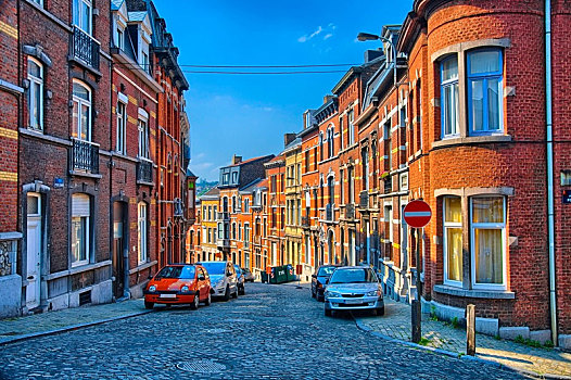 街道,红砖,房子,比利时,荷比卢