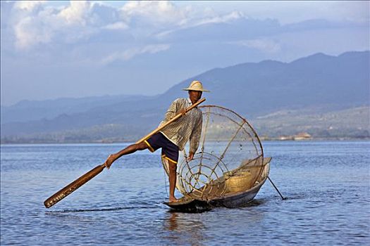 缅甸,茵莱湖,捕鱼者,传统,鱼,困境,怪异,技巧,推动,船,湖,站立