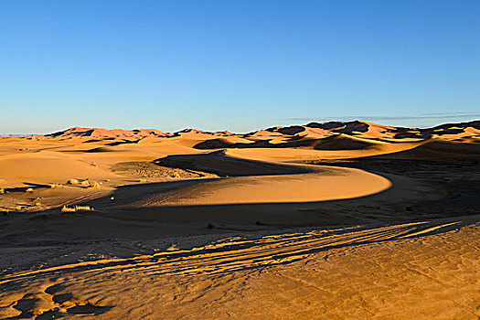 沙丘,却比沙丘,荒漠景观,梅如卡,区域,摩洛哥,非洲