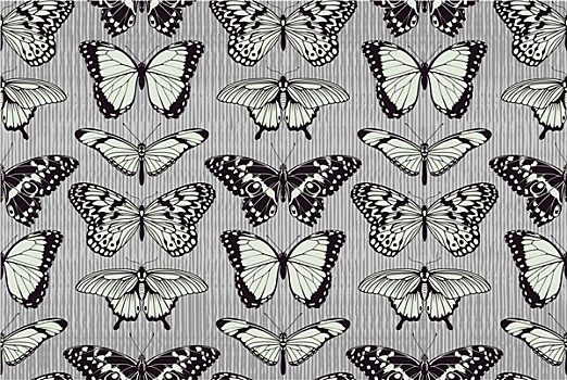 蝴蝶,图案,背景