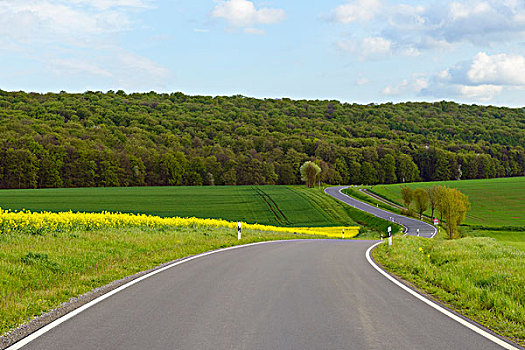 道路,乡村,春天,弗兰克尼亚,巴伐利亚,德国