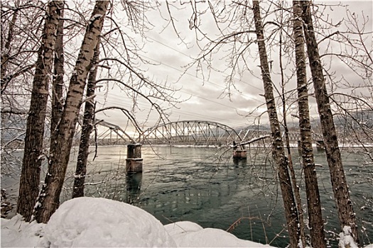 冬天,树,框架,架柱桥
