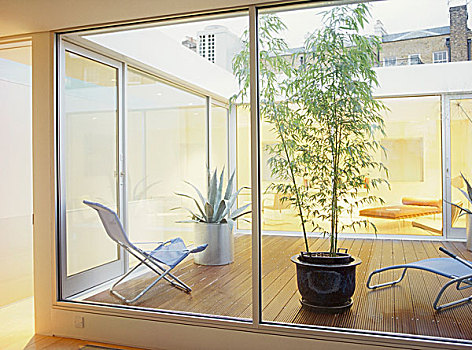 窗户,内庭,现代,花园椅