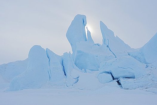 冰山,雪丘岛,南极半岛,南极