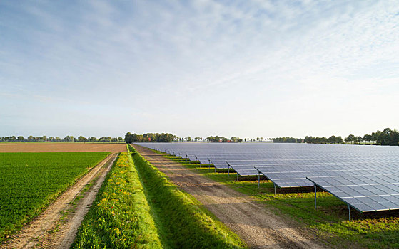 太阳能,农场,弗莱福兰,荷兰