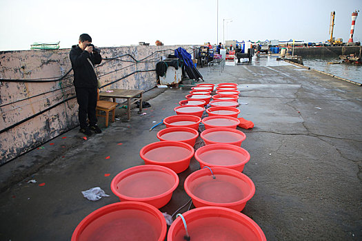 山东省日照市,渔码头上的大红盆引人注目,游客好奇前来淘鲜