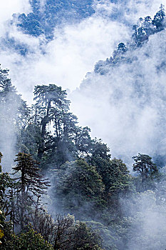 中国西南部山区风光