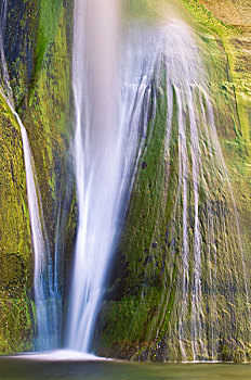 溪流,大阶梯-埃斯卡兰特国家保护区,犹他,美国