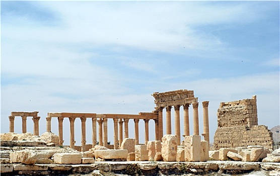 古老,帕尔迈拉,叙利亚
