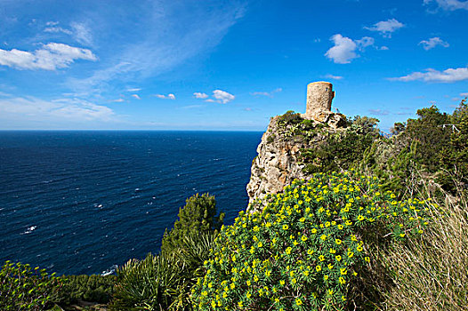 眺台,动漫,靠近,马略卡岛,巴利阿里群岛,西班牙,欧洲