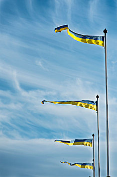 黄色,蓝色,旗帜