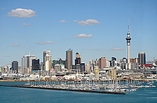 城市,港口,奥克兰,新西兰