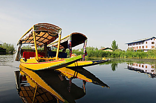两个,湖,斯利那加,查谟-克什米尔邦,印度