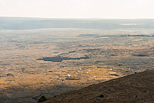 美国大岛火山国家公园