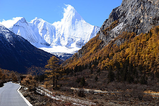 四川,亚丁,稻城,稻城亚丁,景区,甘孜州,藏族,自然,山水,雪山,风光,蓝天,天空,森林