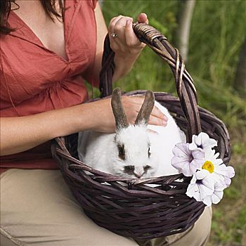 女人,兔子,篮子