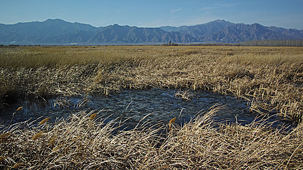 野鸭湖