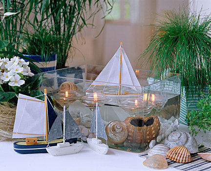 安放,帆船,壳,玻璃