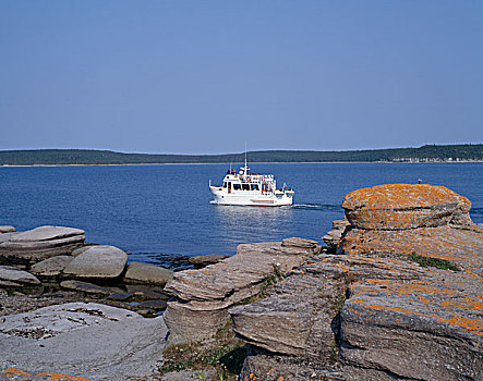 游船,离开,国家公园,自然保护区,魁北克,加拿大