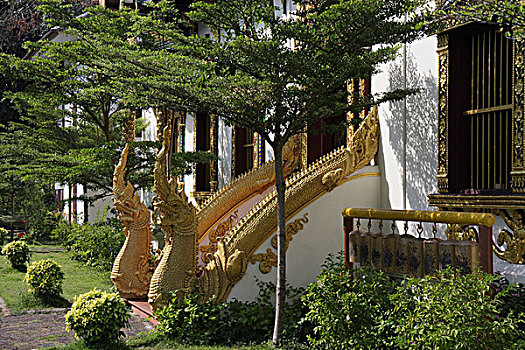 楼梯,蛇,祈祷,庙宇,寺院,男人,清迈,泰国北方,泰国,亚洲