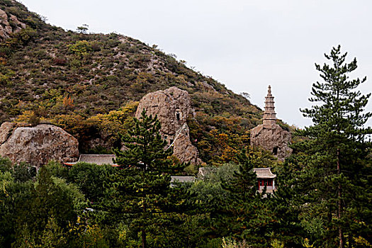 秋染柏林寺