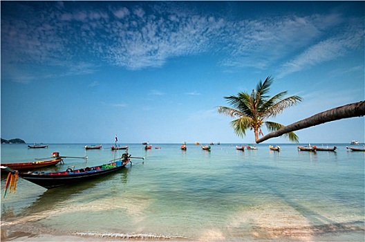 棕榈树,船,热带沙滩,泰国