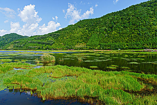 腾冲北海湿地保护区