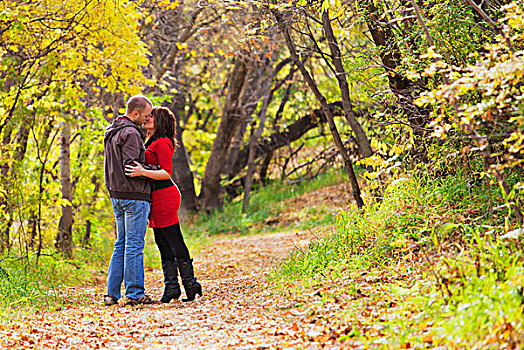 年轻,夫妇,吻,走,公园,艾伯塔省,加拿大