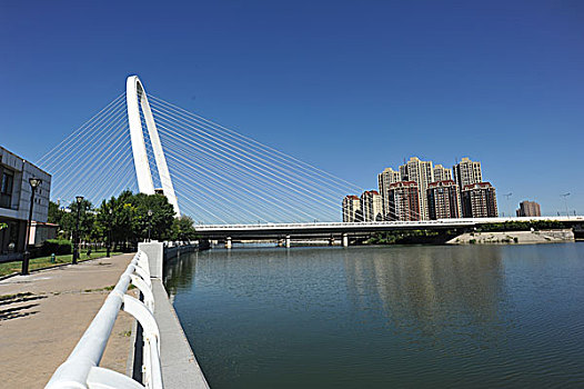 天津,道路,马路,大楼,城市,现代化,高架桥,交通,高速,快捷,子牙河,斜拉桥