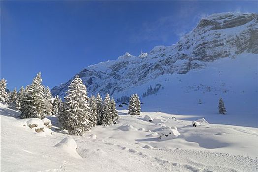 雪景,阿尔卑斯山,瑞士,欧洲