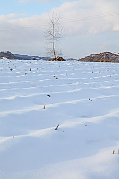 东北吉林省敦化市两江镇农村雪景