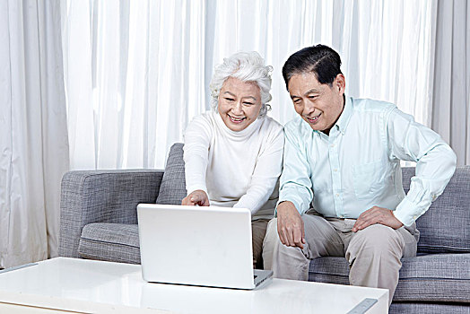 老年夫妇在家中上网