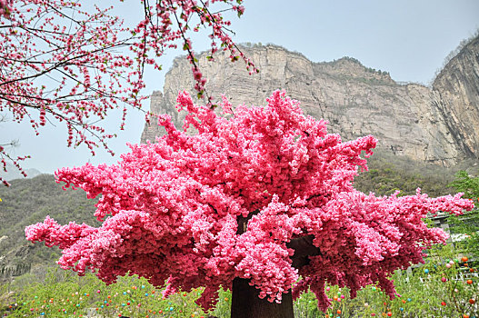 仿真桃花树