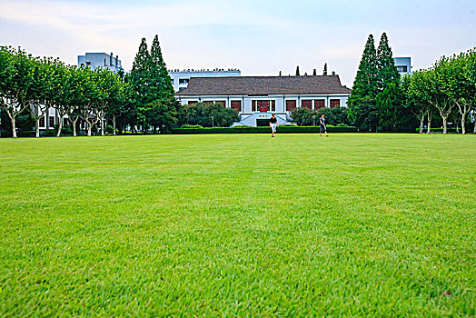 上海,复旦大学,校园,草地