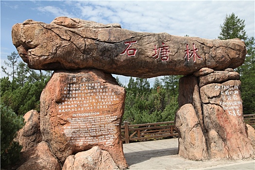 阿爾山石塘林