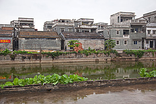 乡村,地区,中国