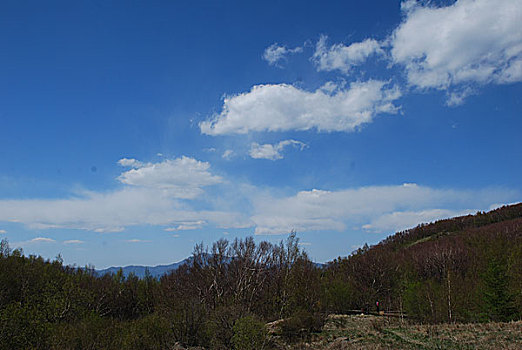 早春的百花山