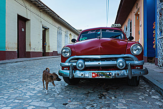 古巴,特立尼达,鹅卵石,街道,出租车,狗