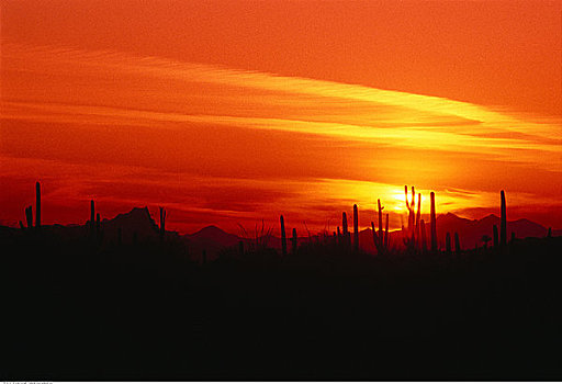 日落,上方,荒芜,亚利桑那,美国