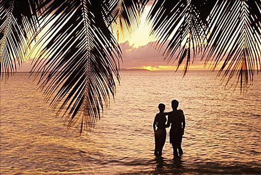加勒比海,洪都拉斯,海湾群岛,日落,伴侣,剪影,海洋,棕榈叶,前景