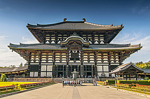 东大寺,佛教寺庙,复杂,一个,庙宇,城市,奈良,日本