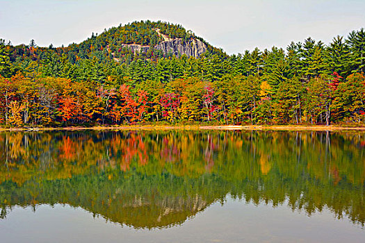 反射,秋色,湖,州立公园,新罕布什尔,美国
