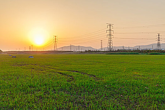 夕阳下的田地电塔远山