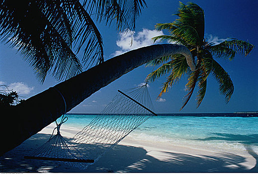 棕榈树,吊床,马尔代夫,印度洋