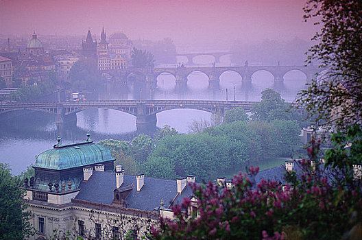 航拍,桥,布拉格,捷克共和国