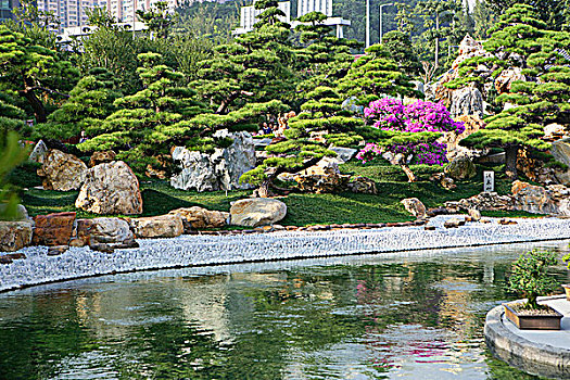 水塘,女修道院,花园,山,香港